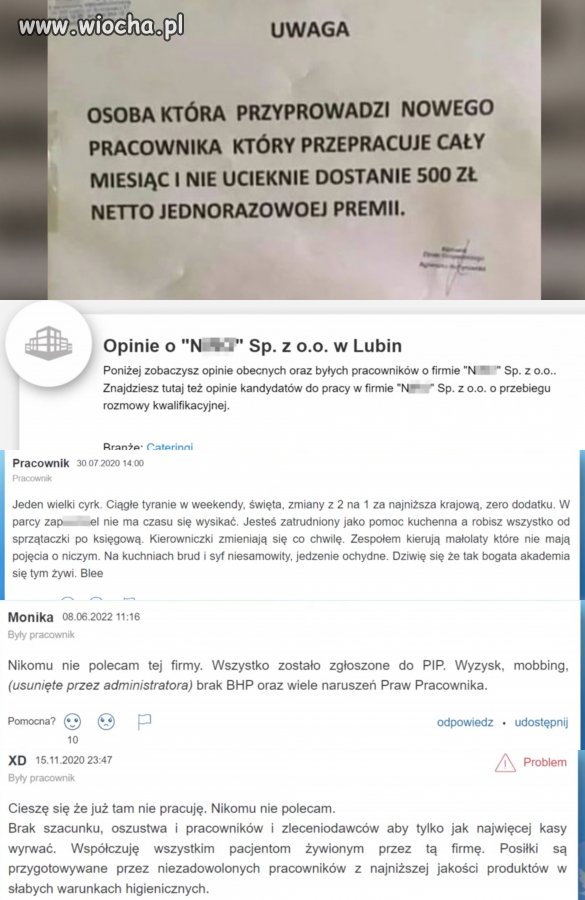 Takie tam ogłoszenie w pewnym januszexie!