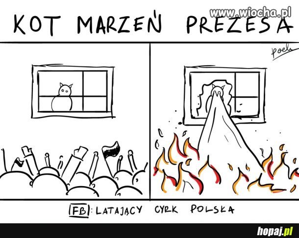 Marzenie prezesa