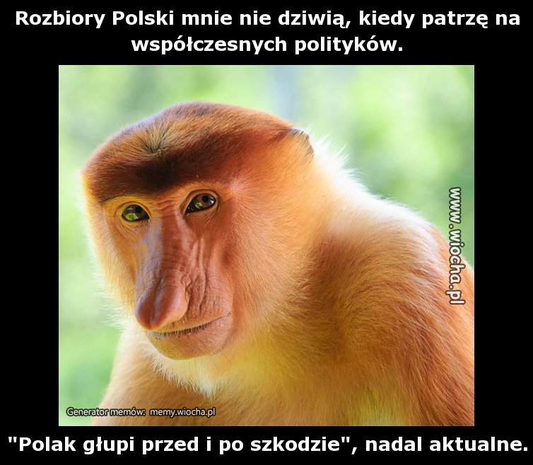 Rozbiory Polski mnie nie dziwią, kiedy patrzę na