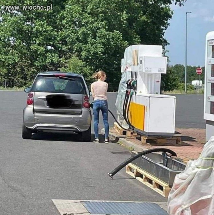Koleżanko..