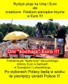 Ciemny lud tego nie rozumie❗ Najłatwiej rządzić głupim narodem
