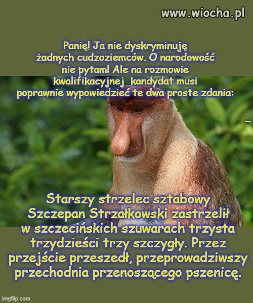 Zwierzenia kierownika