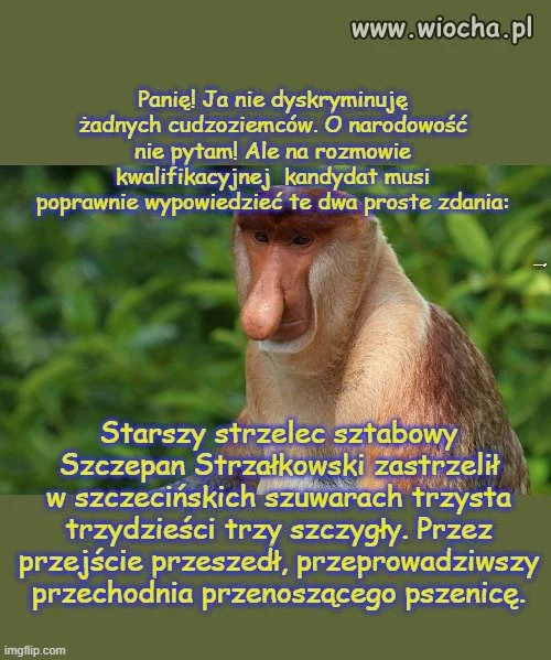 Zwierzenia kierownika