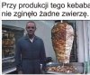 Zapewne