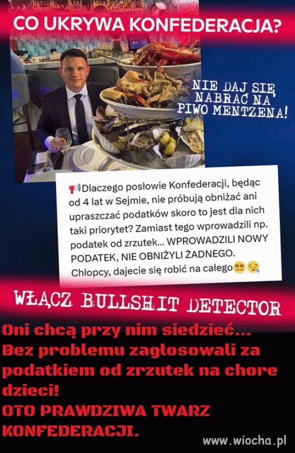 Konfederacja to zbrojne ramię PIS