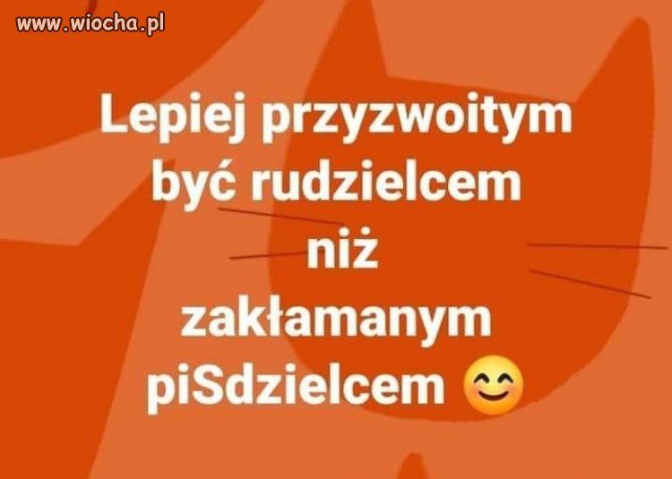 Chciał kaczor rudych to będzie ich miał miliony