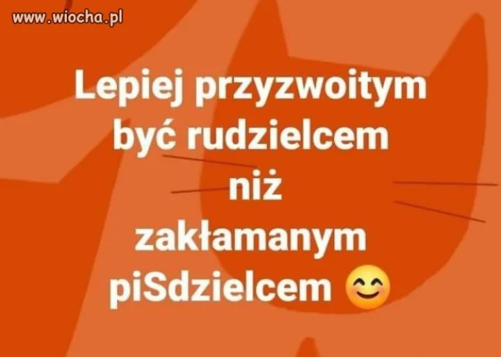 Chciał kaczor rudych to będzie ich miał miliony