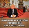 To nie wilk tylko hiena. Nie obrażając hien!
