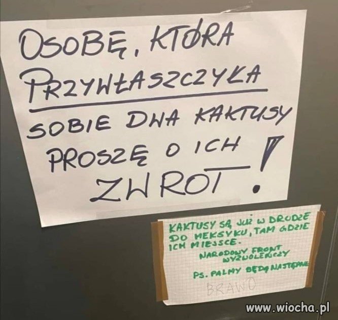 Wolność dla wszystkich i wszystkiego