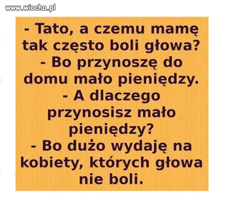 Błędne koło