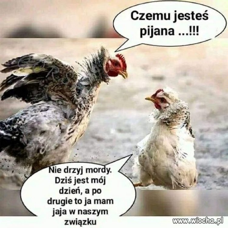 No i napyskował