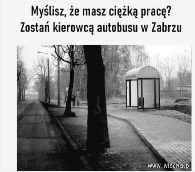 Zabrze, to stan umysłu 