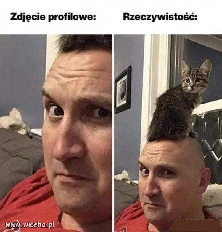 Ciekawe ujęcie