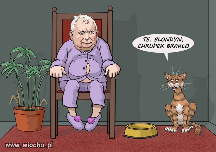 Blondi chrupek nie da, bo ma mokre gacie, ze strachu...