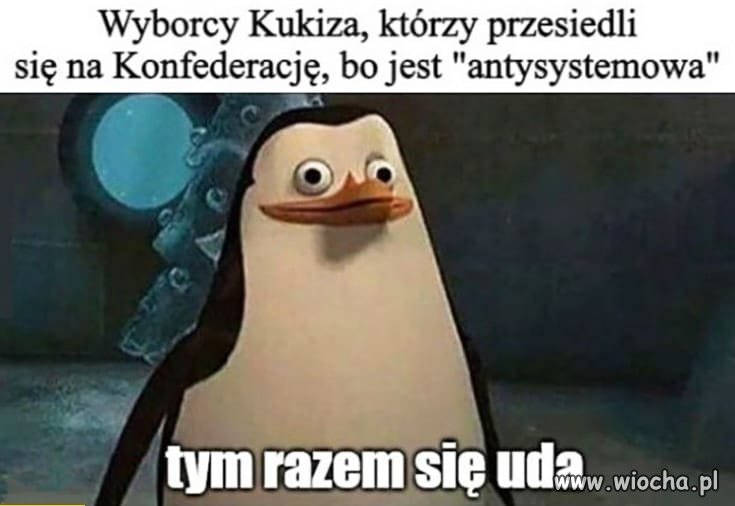 Pewnie, że się uda