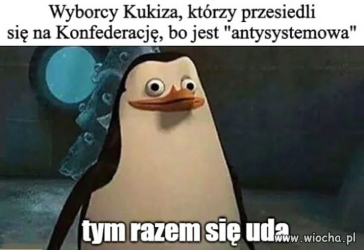 Pewnie, że się uda