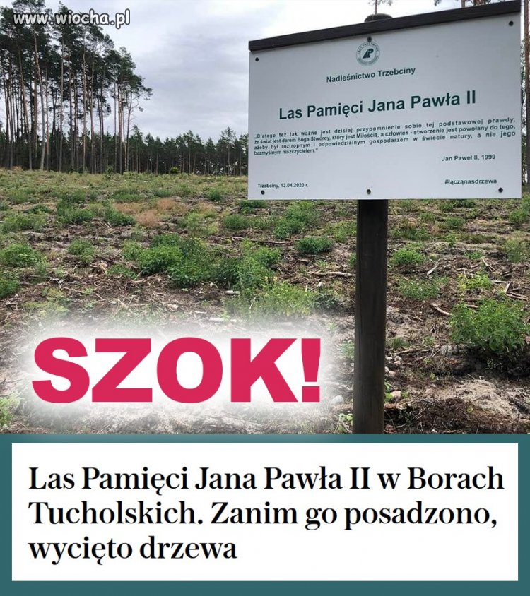 Nie narzekać żeby nie być posadzonym 