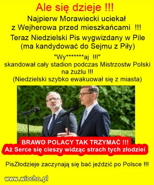 Tak wygląda prawdziwe poparcie dla PiSu...