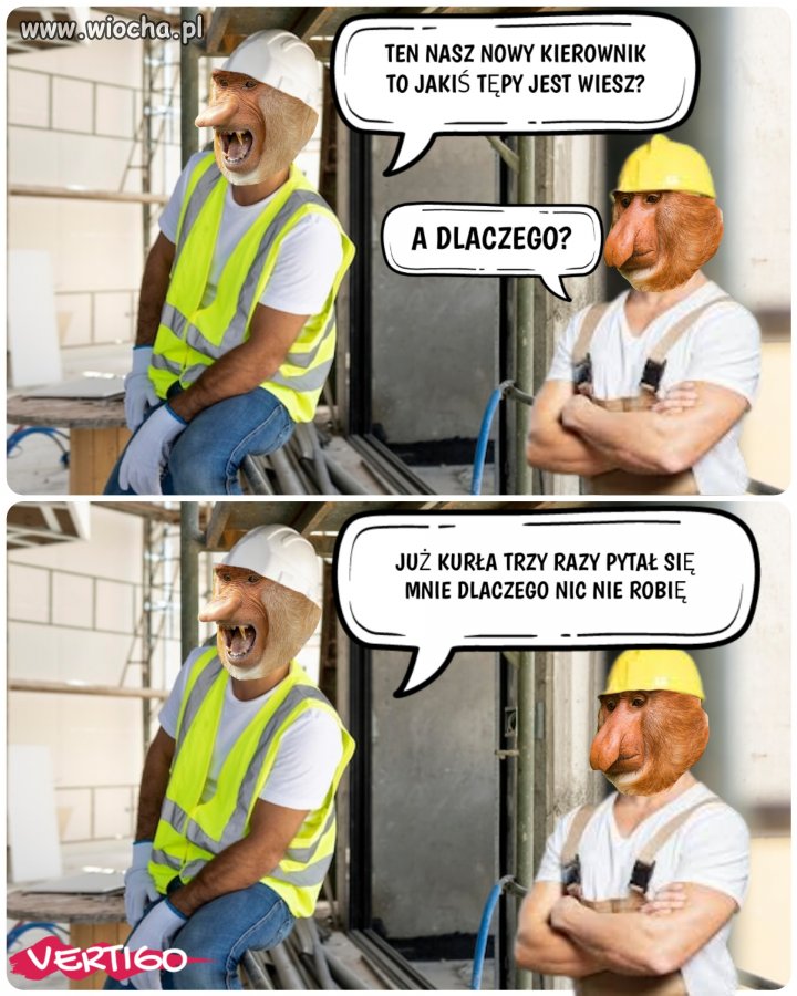 Janusz