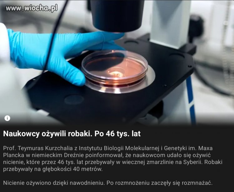 Zamrozić to ! Natychmiast!