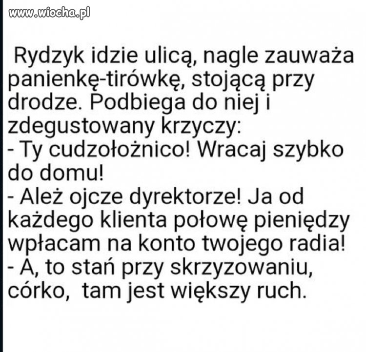 Punkt widzenia