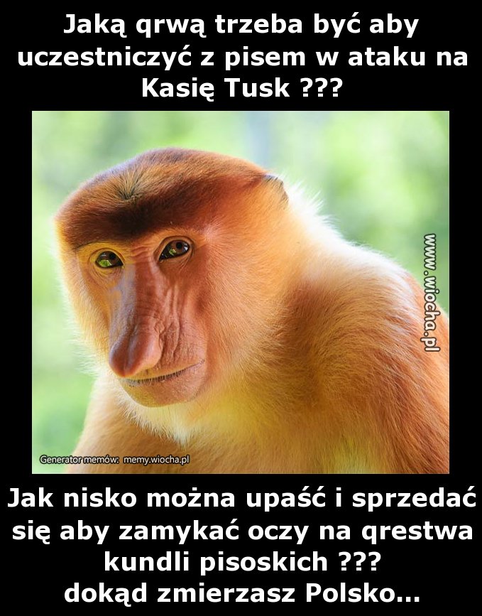 Jaką qrwą trzeba być aby uczestniczyć z pisem w