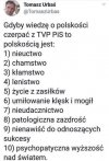 Dekalog PiSowskich wartości.