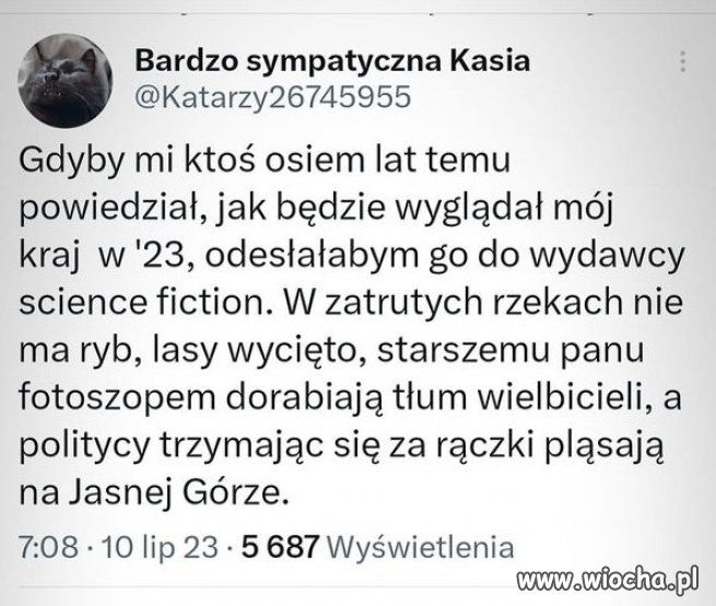 Gdyby nie glupota i zacofanie narodu, nie bylo by Kaczynskiego!