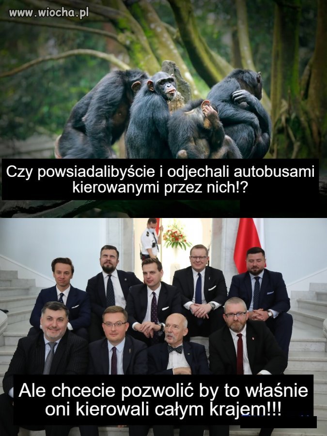 Mało wam syfu który robi PiS???   