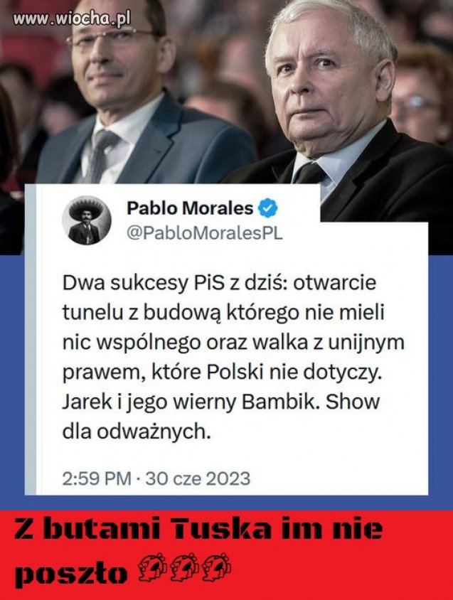 Pisowskie zj3by