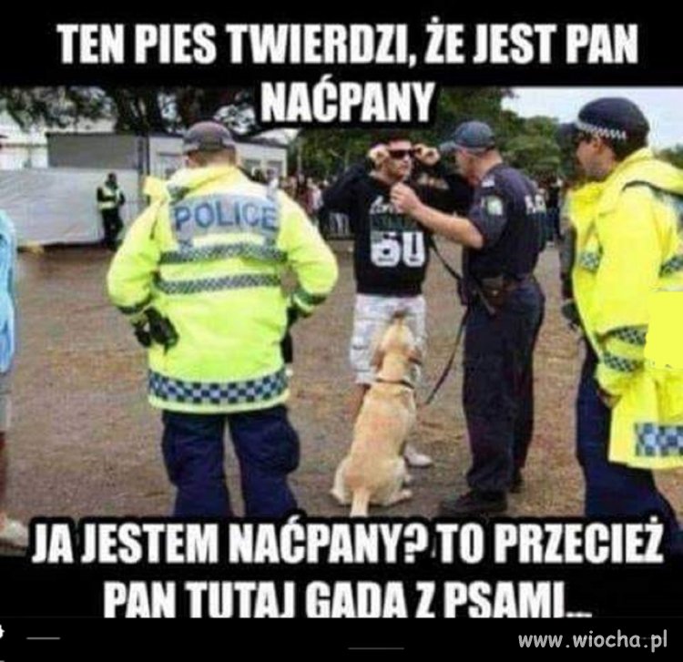 Ja nic nie słyszę