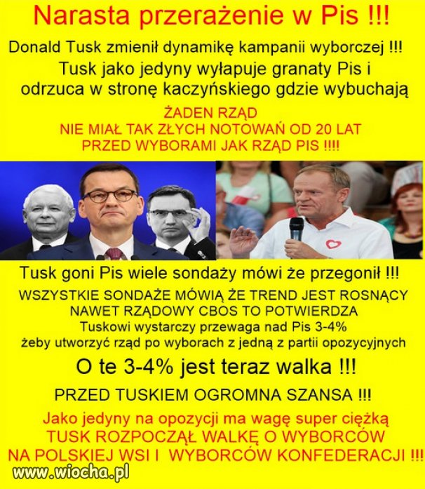 Pozostałe partie powinny się zjednoczyć i pogonić PiS w ...