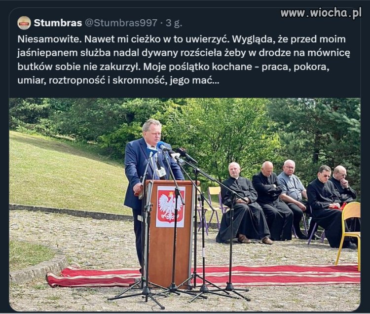 Dywanik?! Czy jego popie**liło do reszty?
