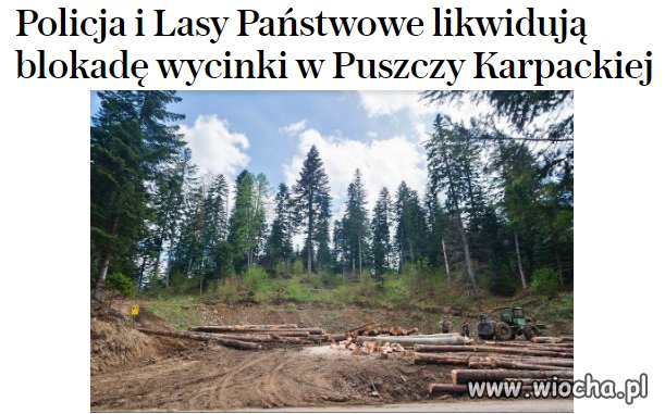 Wyciąć ile się da do wyborów