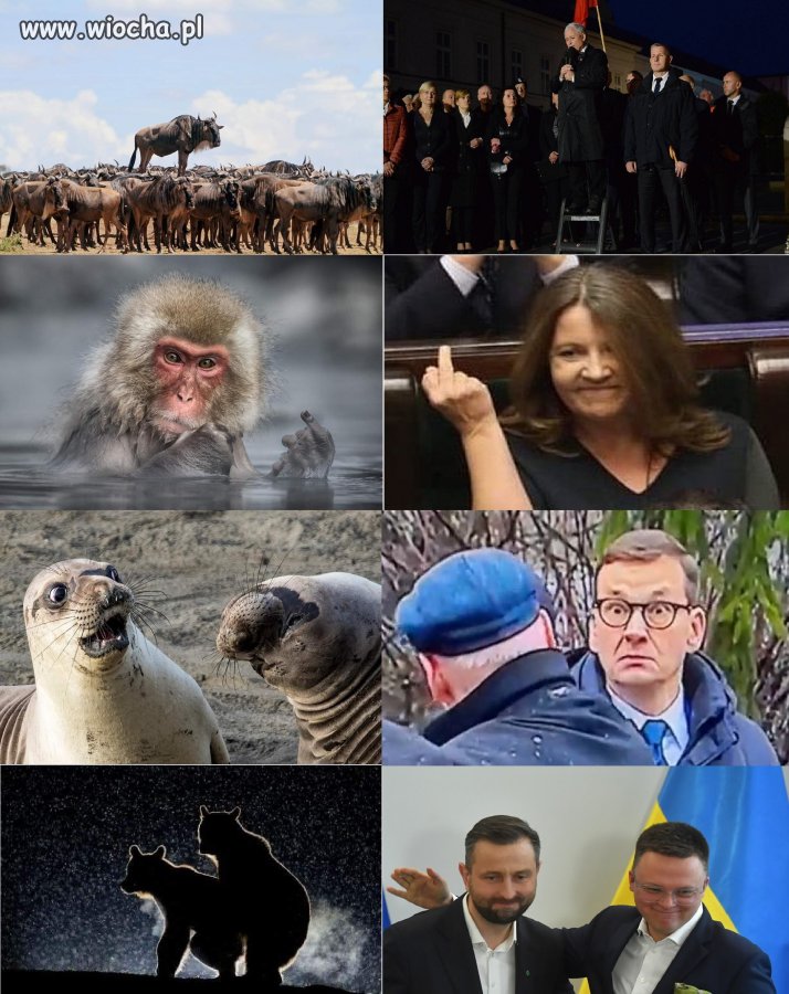 Natura ...bez polityki