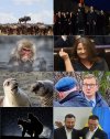 Natura ...bez polityki