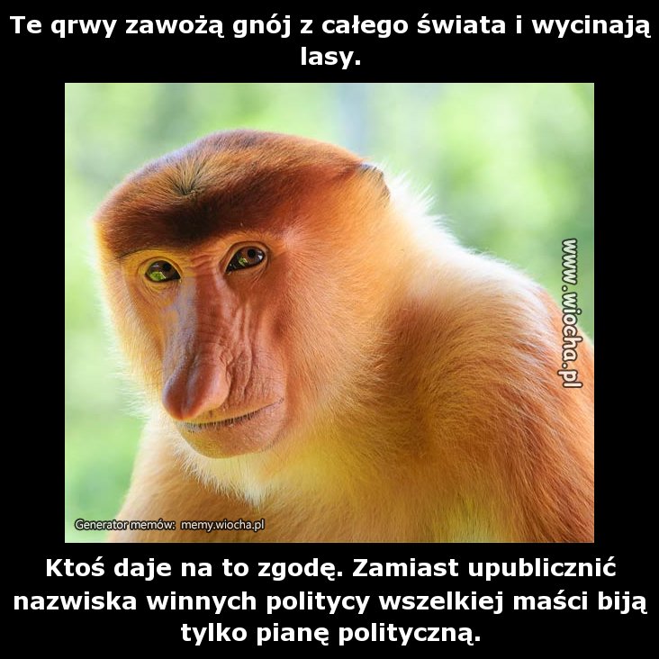 Te qrwy zawożą gnój z całego świata i wycinają