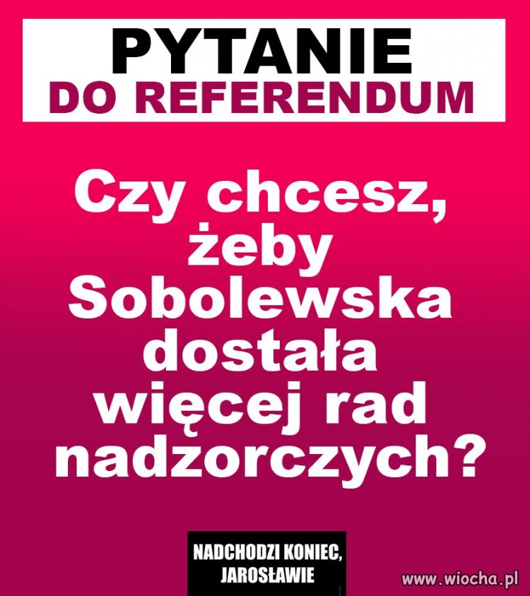 Kolejne pytanie na Referendum
