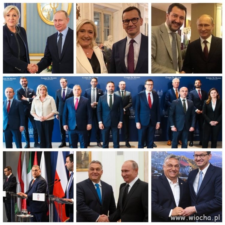 Znajdź putinowskiego kreta