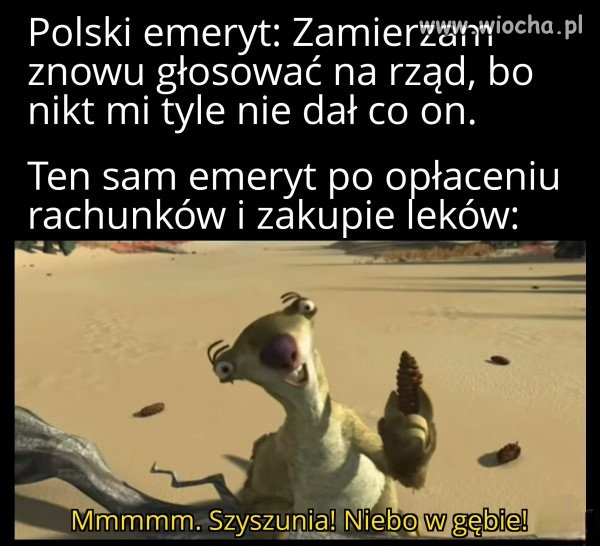 Polscy emeryci w pigułce 
