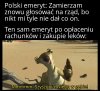Polscy emeryci w pigułce 