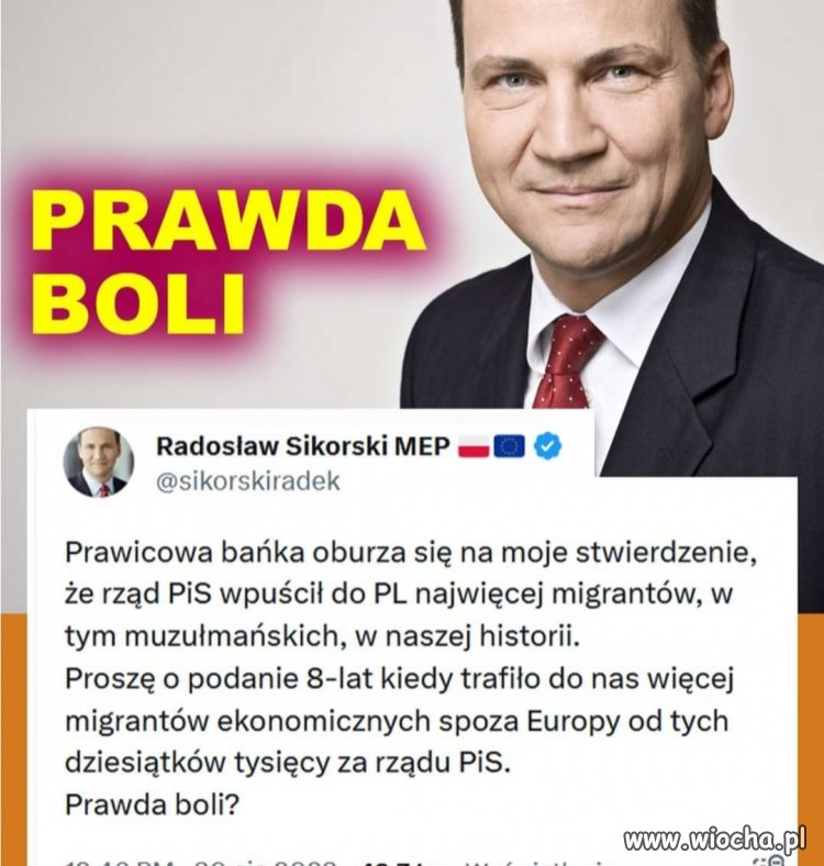 No pisowscy szmaciarze 