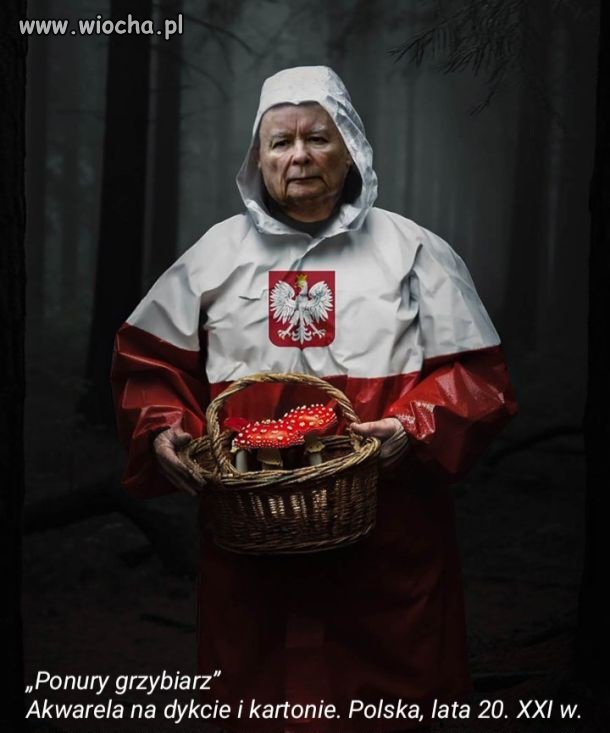 Ponury grzybiarz