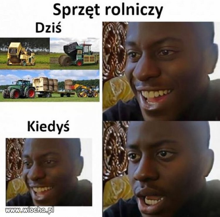Wyjątkowo trafne