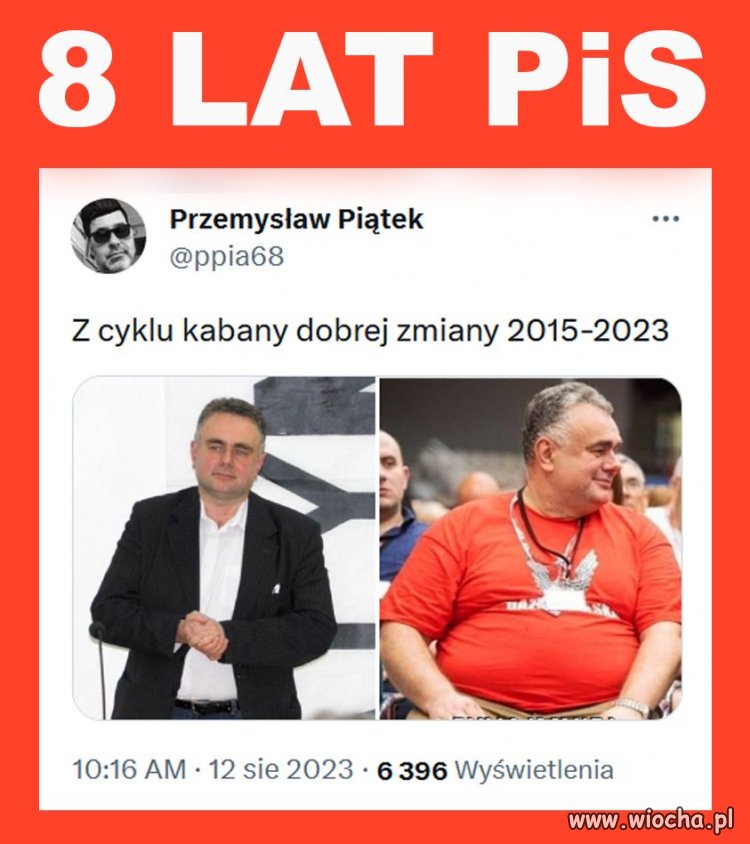 Czy dalej mówimy o tłustych kotach?