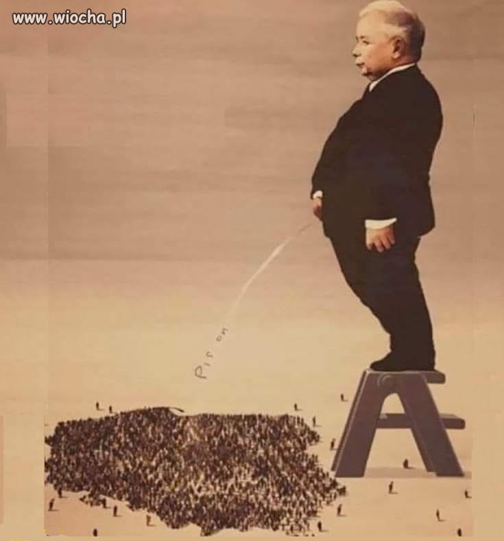 Tak to widzę