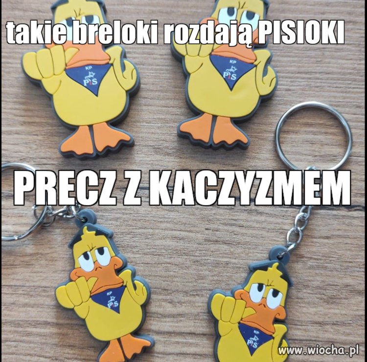 Kaczyzm
