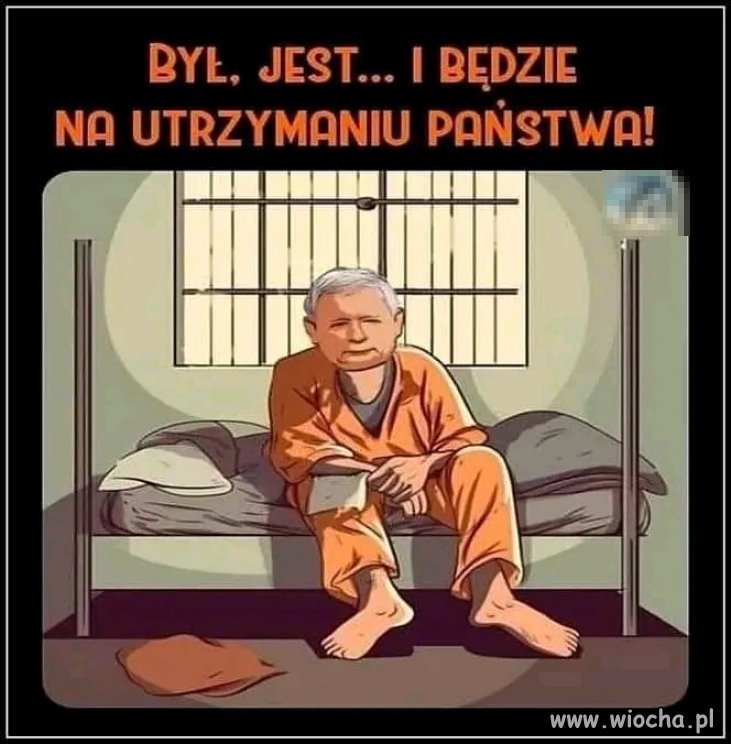 Całe życie na krzywy ryj