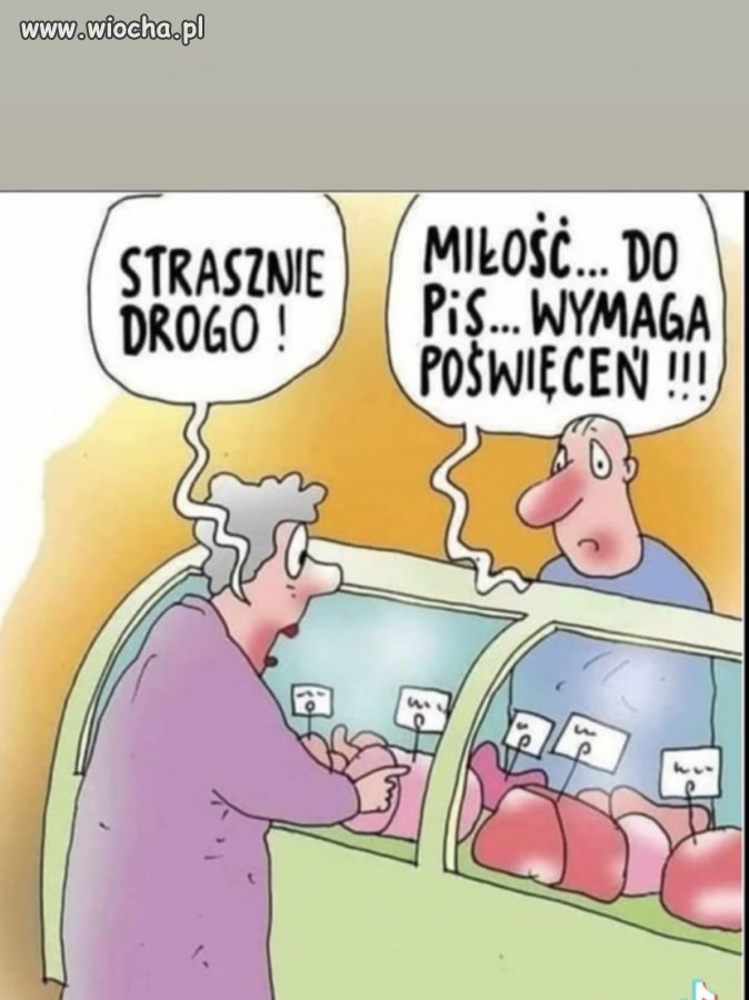 Trzynastka