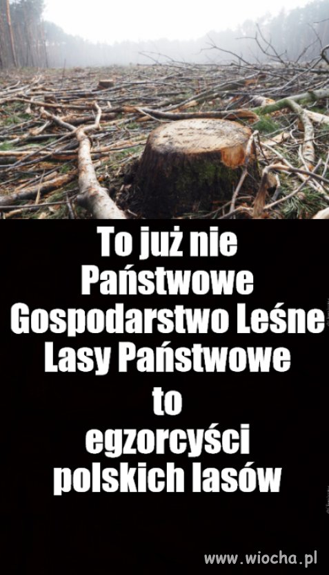 Kaprawym okiem ateisty patrząc ...
